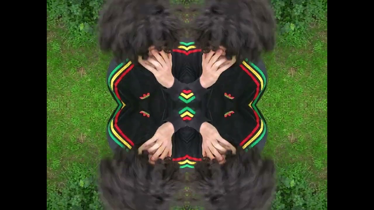 bebenova - harvard (music video)