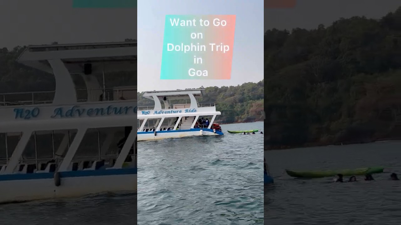 Dolphin Trip in Goa | Sinquerim Beach Dolphin Trip near Aguada Fort #dolphintour #goa#shorts