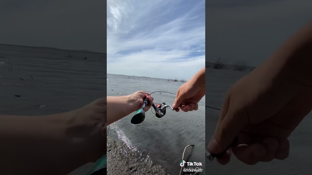$12 Temu Rod vs Monster Fish! 😱🎣