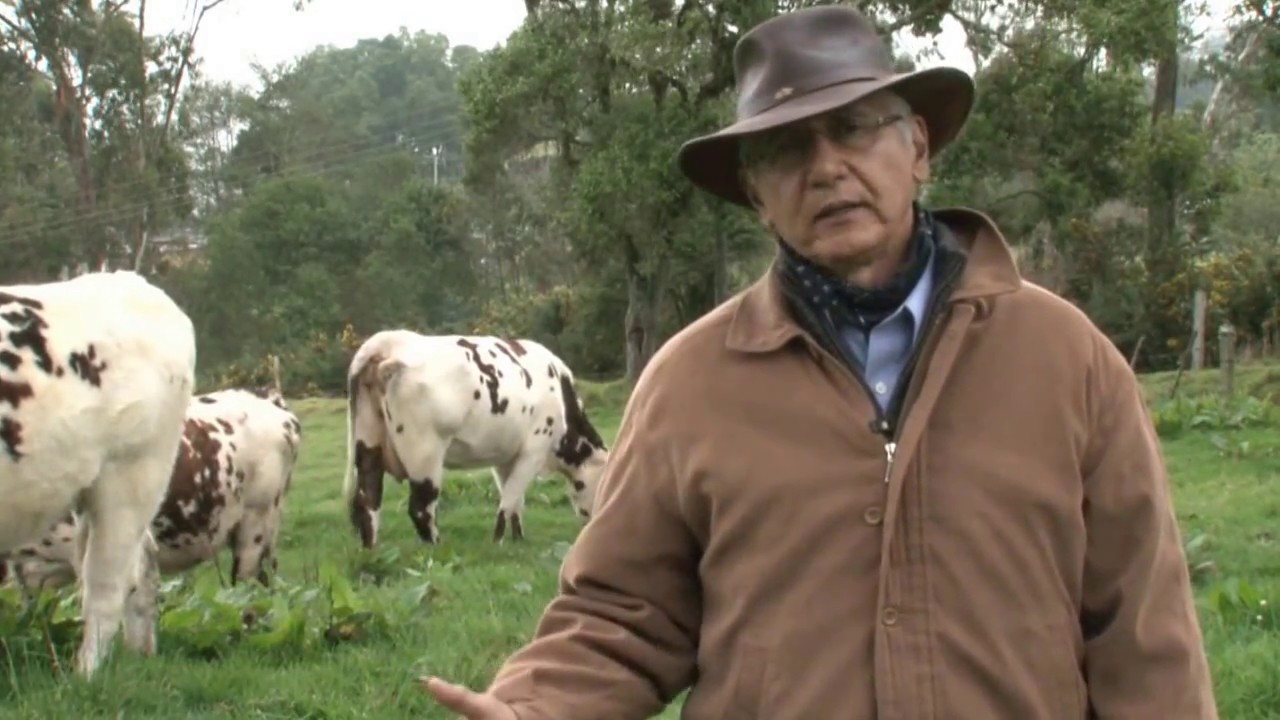 EMPRESARIOS DEL CAMPO ASONORMANDO MURILLO Y RONCESVALLES - TOLIMA 28/02/2015