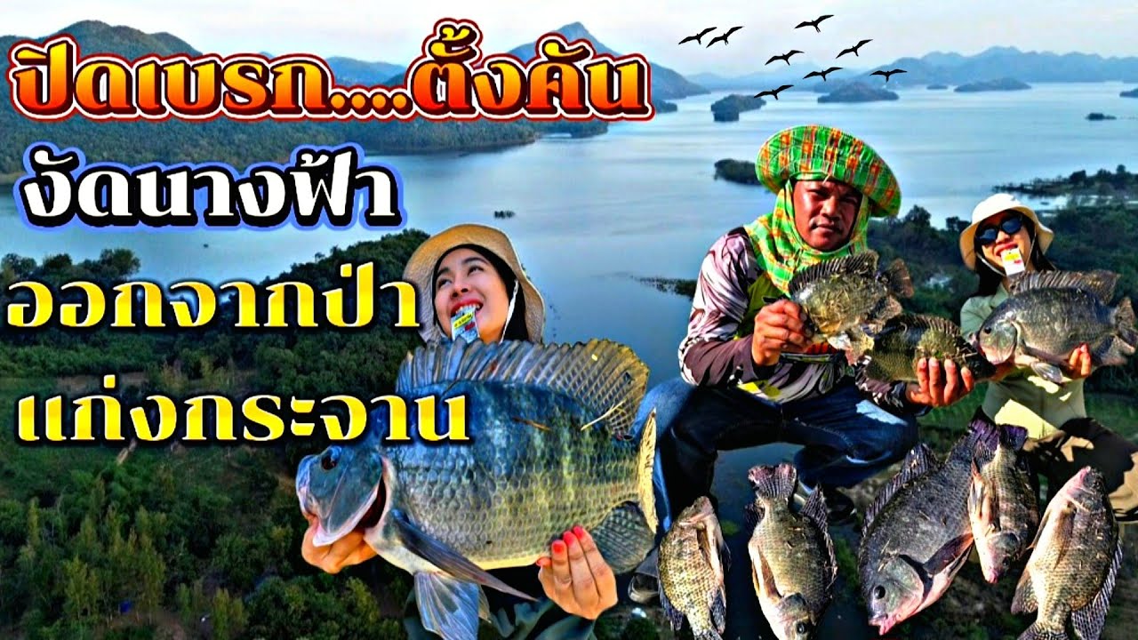 EP:120 ปิดเบรกตั้งคัน งัดนางฟ้าออกจากป่า #ตกปลา #ตกปลาหน้าดิน 