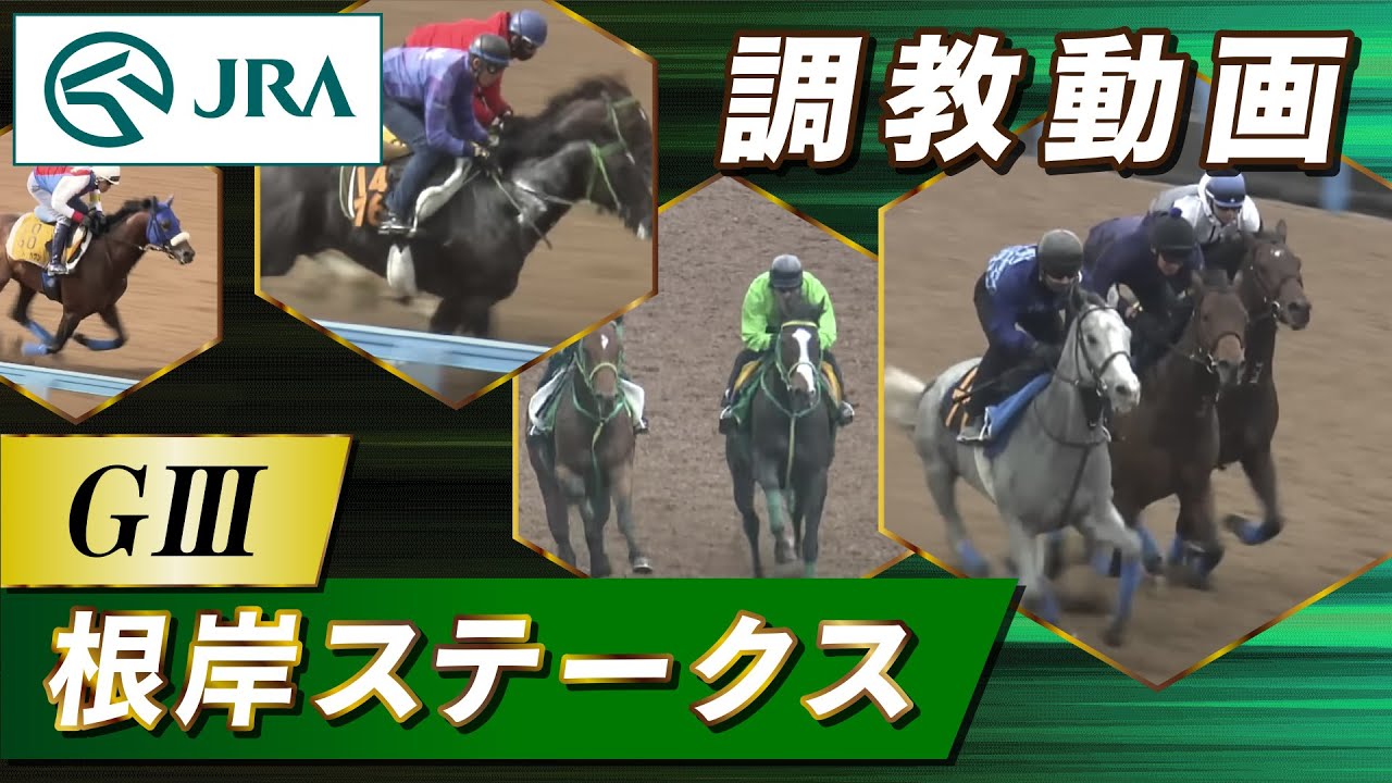 【調教動画】2026年 根岸ステークス｜JRA公式