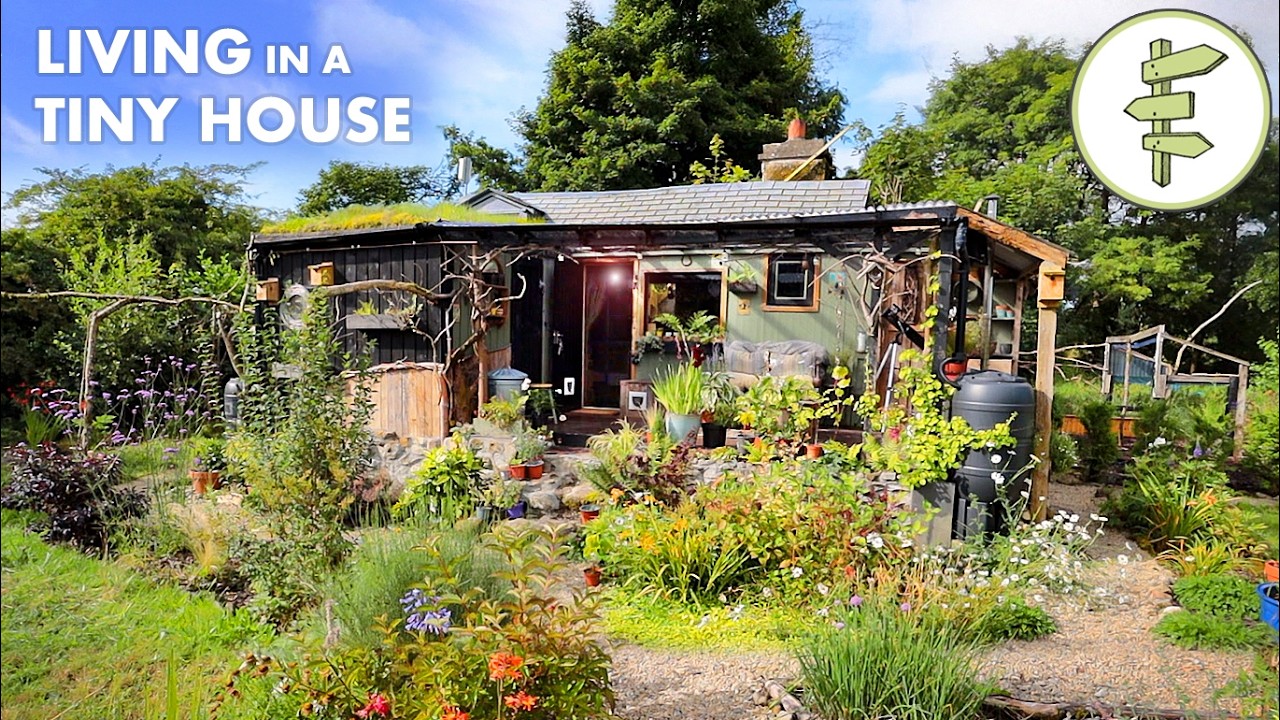 Couple's AMAZING Off-Grid Homestead & SUPER SMALL Tiny House Built from Scratch – FULL TOUR