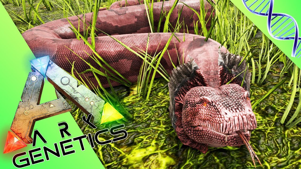 ARK GENETICS : LES MUTANTS ! Le Titanoboa, le serpent géant ! /11