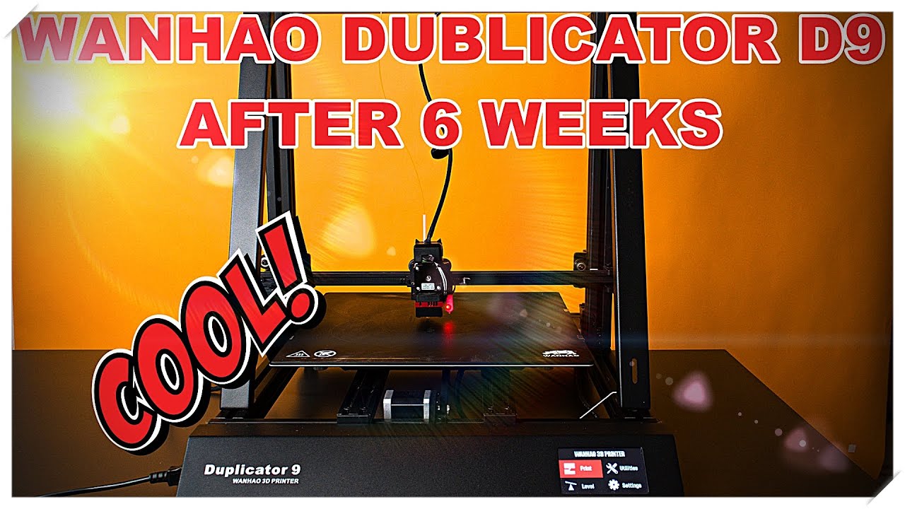 Копировальный аппарат Wanhao D9 после 6 недель