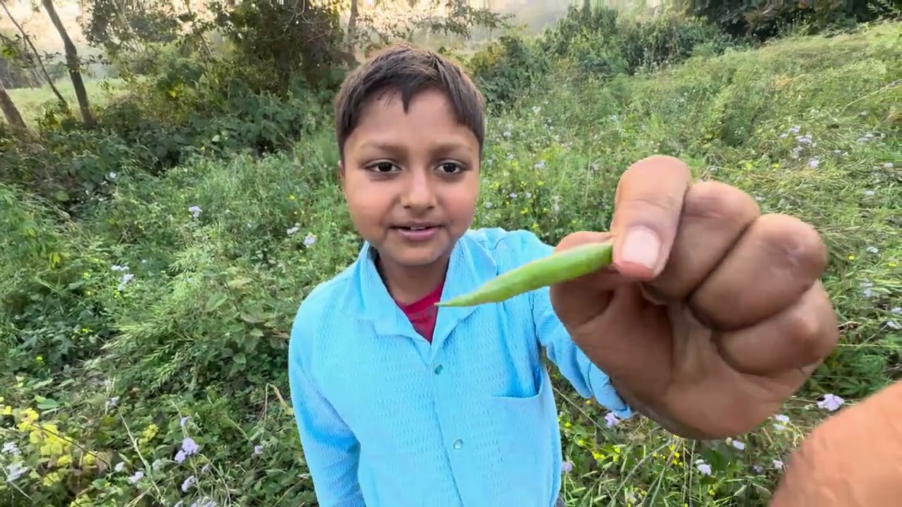 Sharsho ka khet
