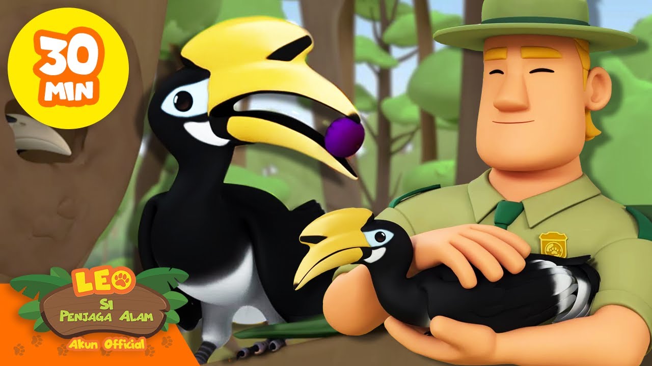 Induk rangkong memberi makan bayinya! 🐧🦉 | Leo Si Penjaga Alam | #hewan
