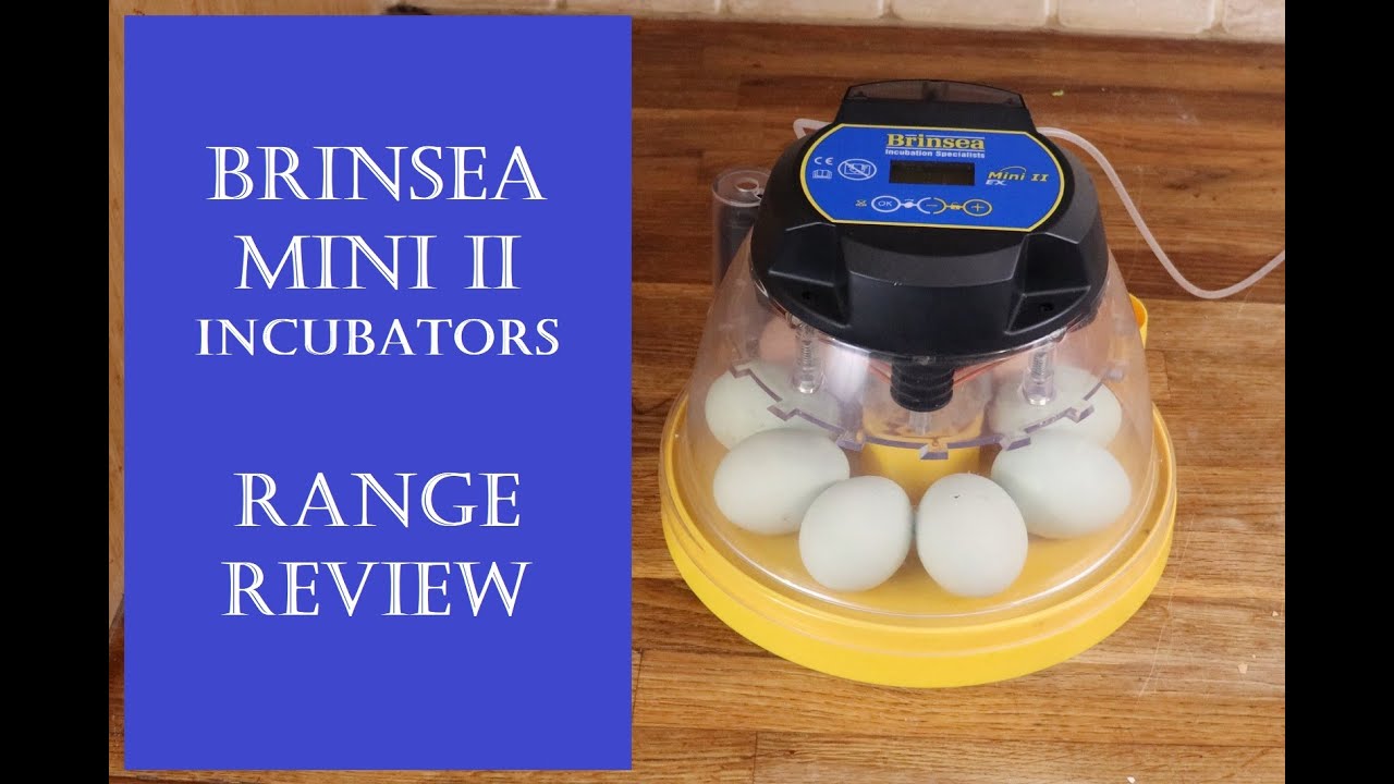 Brinsea Mini II Incubator Range - best for home incubation?