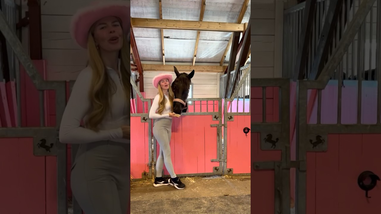 Pink BARBIE dream stable💗🦄 #barbie #horse #pink #creator