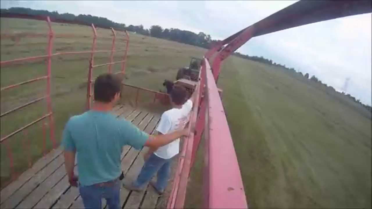 Getting Hit with a Bale