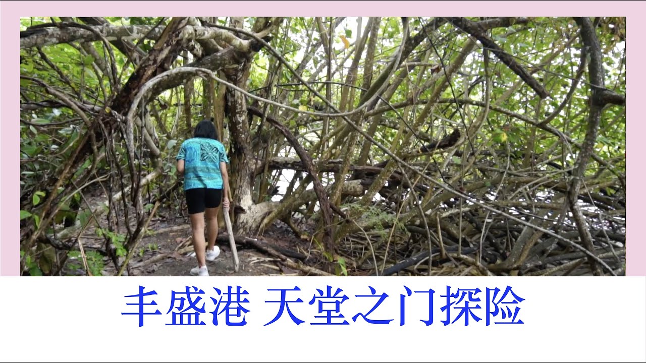 马来西亚 自驾环岛 | 第4集 | 小岛探险 遇到野猪【 2022年 】