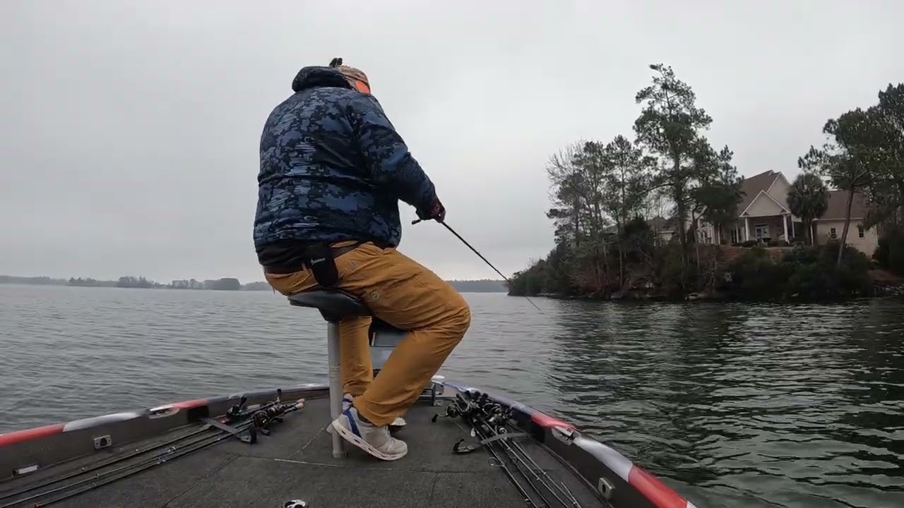 Jerk bait