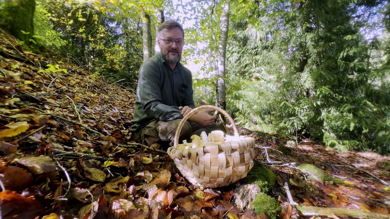 Foraging for Hedgehog Mushrooms. Identifying tree types is key! 'Sæson' Episode 2. Ethicurean Life