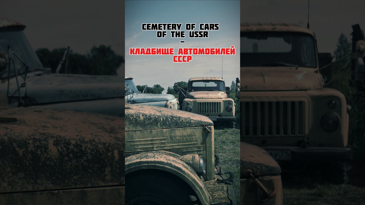 Кладбище автомобилей СССР / cemetery of cars of the USSR