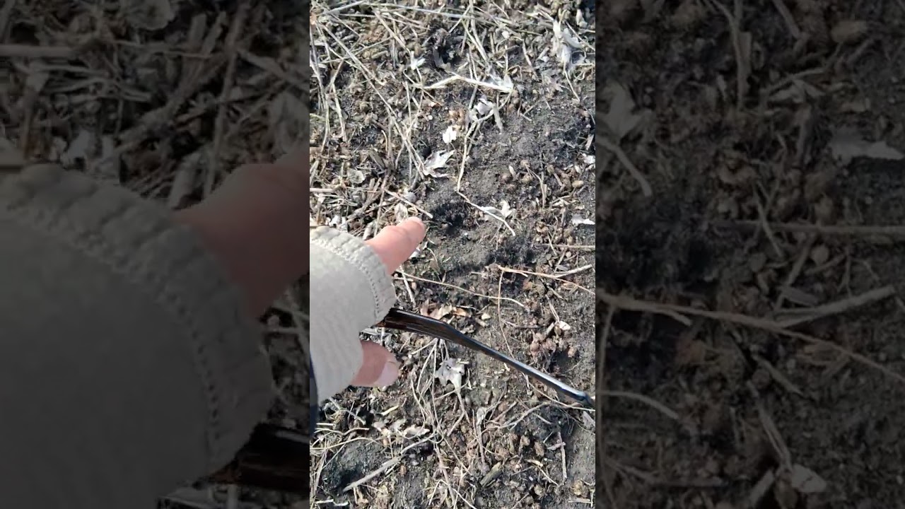 Observations in Nature - Building Soil