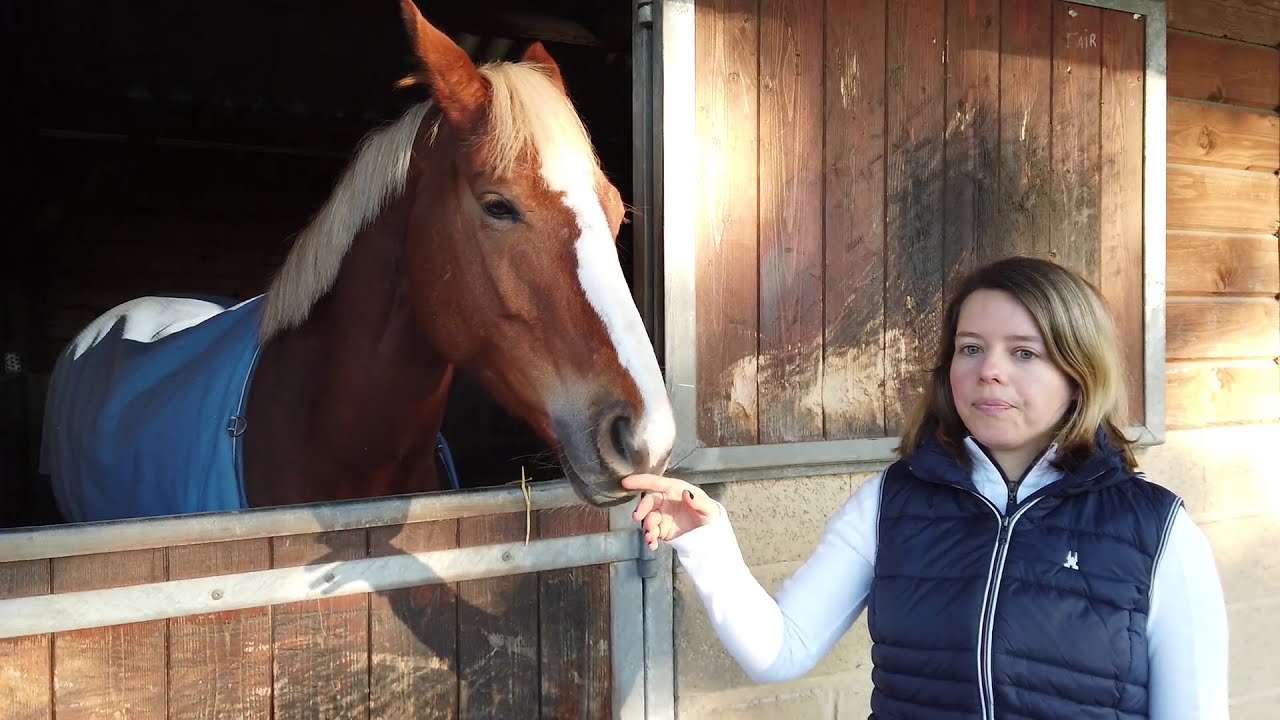 Animal Behaviour and Welfare | Student Experience