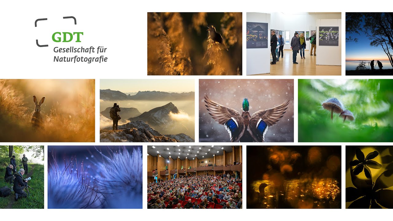 GDT &ndash; Naturfotografie verbindet!