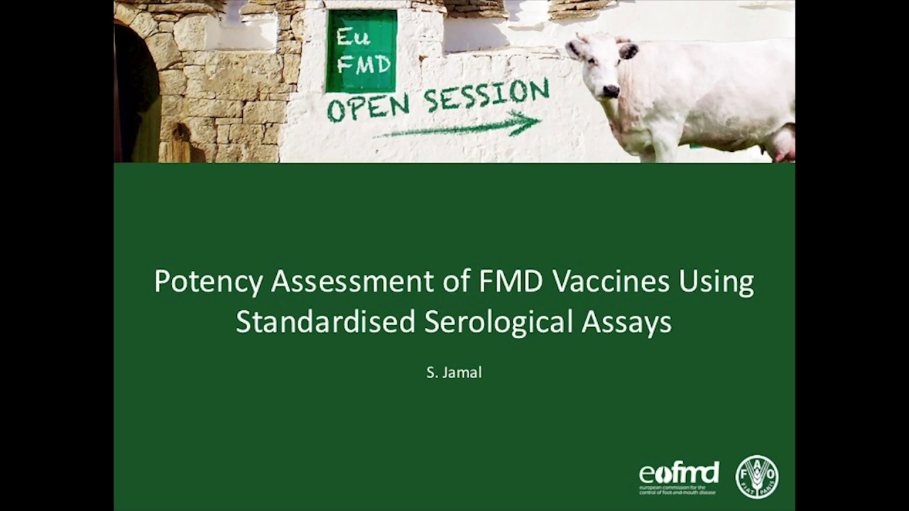S. Jamal  - Potency assessment of FMD vaccines using standardised serological assays