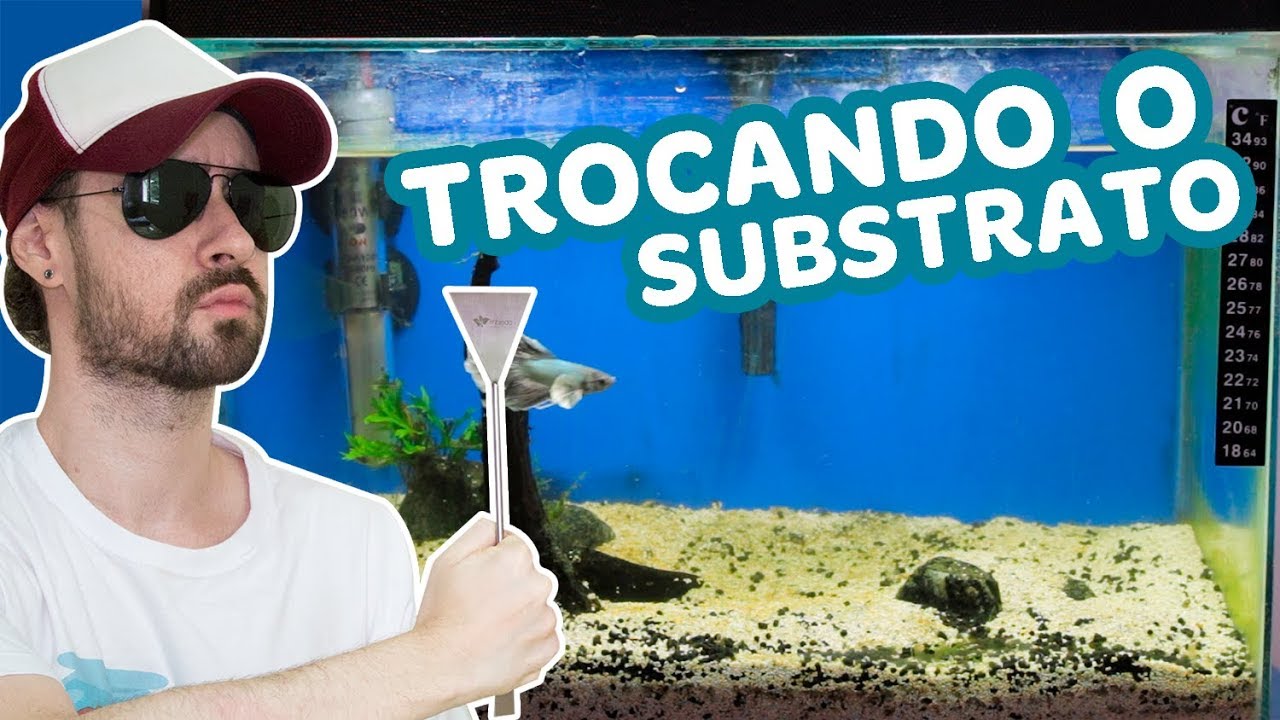 COMO TROCAR O SUBSTRATO DO SEU AQUÁRIO