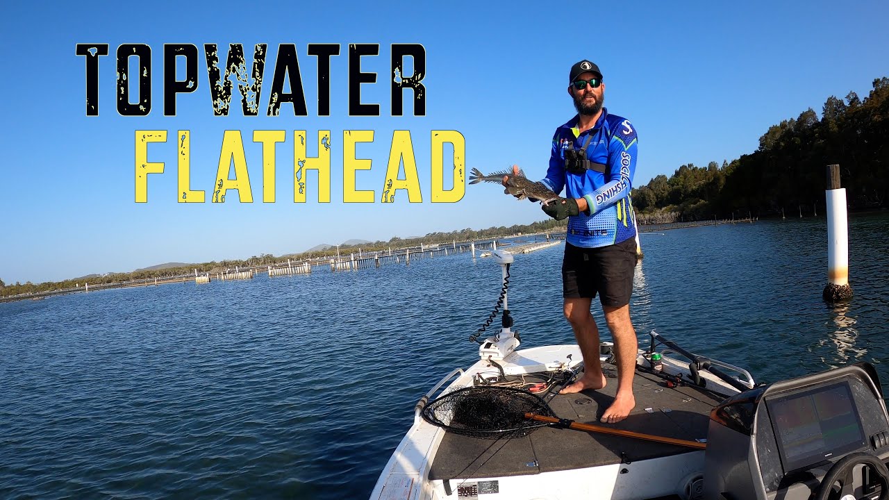 Top water Flathead- Fishing with bent minnows
