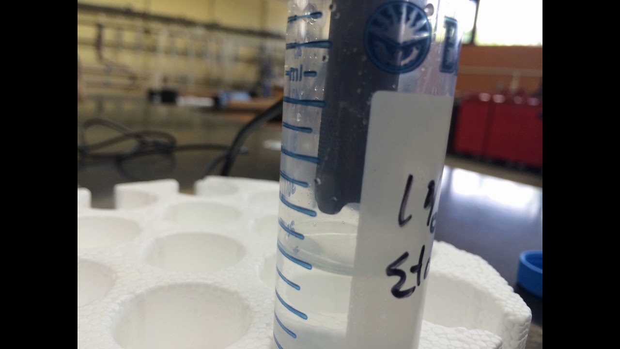 Converting Sugar to Ethanol