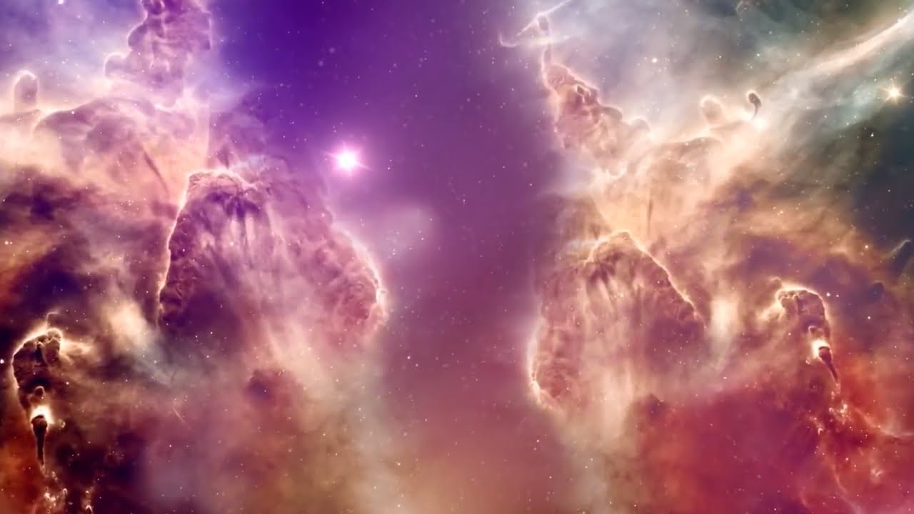THE PRIVILEGED SPECIES - FULL HIGH DEFINITION INTELLIGENT DESIGN DOCUMENTARY
