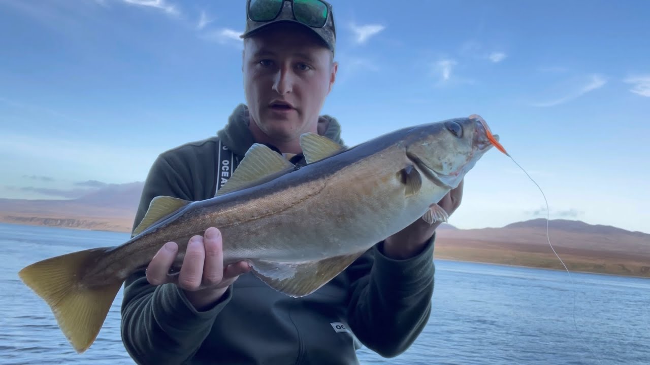 Lure fishing for pollack - Scotland 🏴󠁧󠁢󠁳󠁣󠁴󠁿