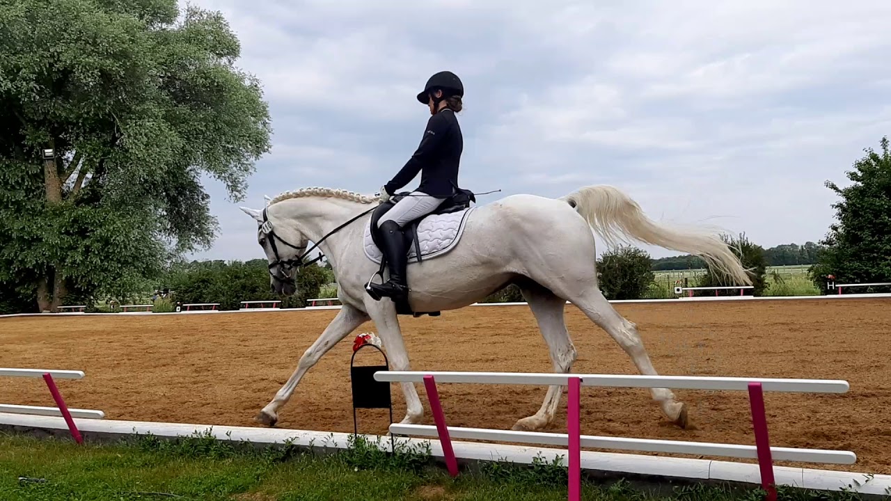 Dressur RA3 in Mergenthau-Kissing, 7. Platz