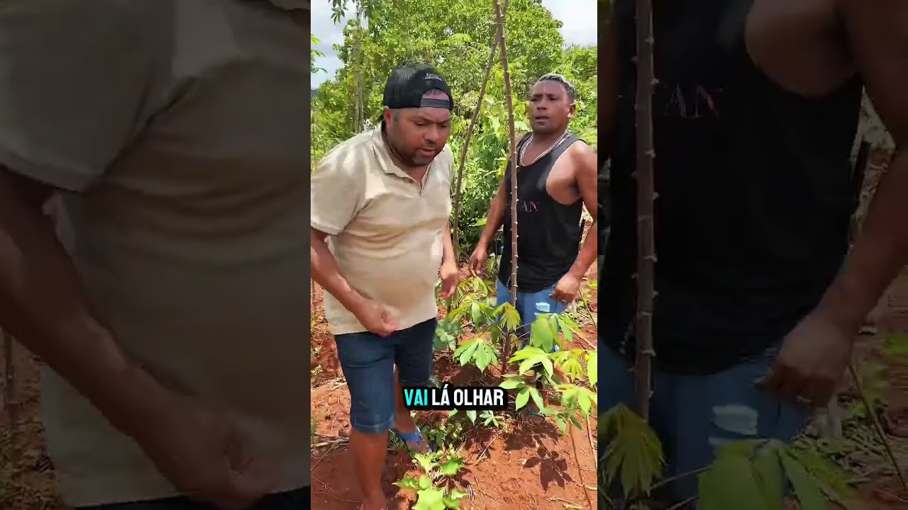 O PROBLEMA COMEÇOU QUANDO FIZ O NEGÓCIO COM BARRIGA DE ALUGUEL 