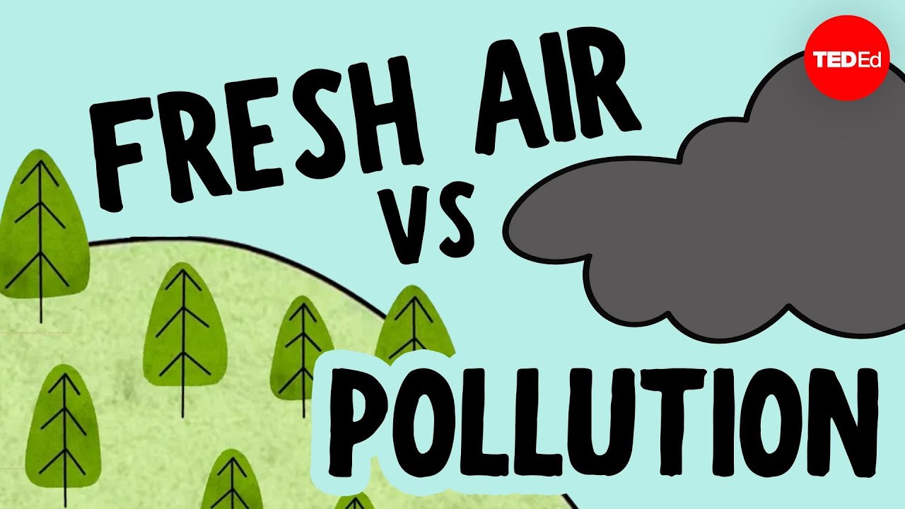 What&rsquo;s in the air you breathe? - Amy Hrdina and Jesse Kroll