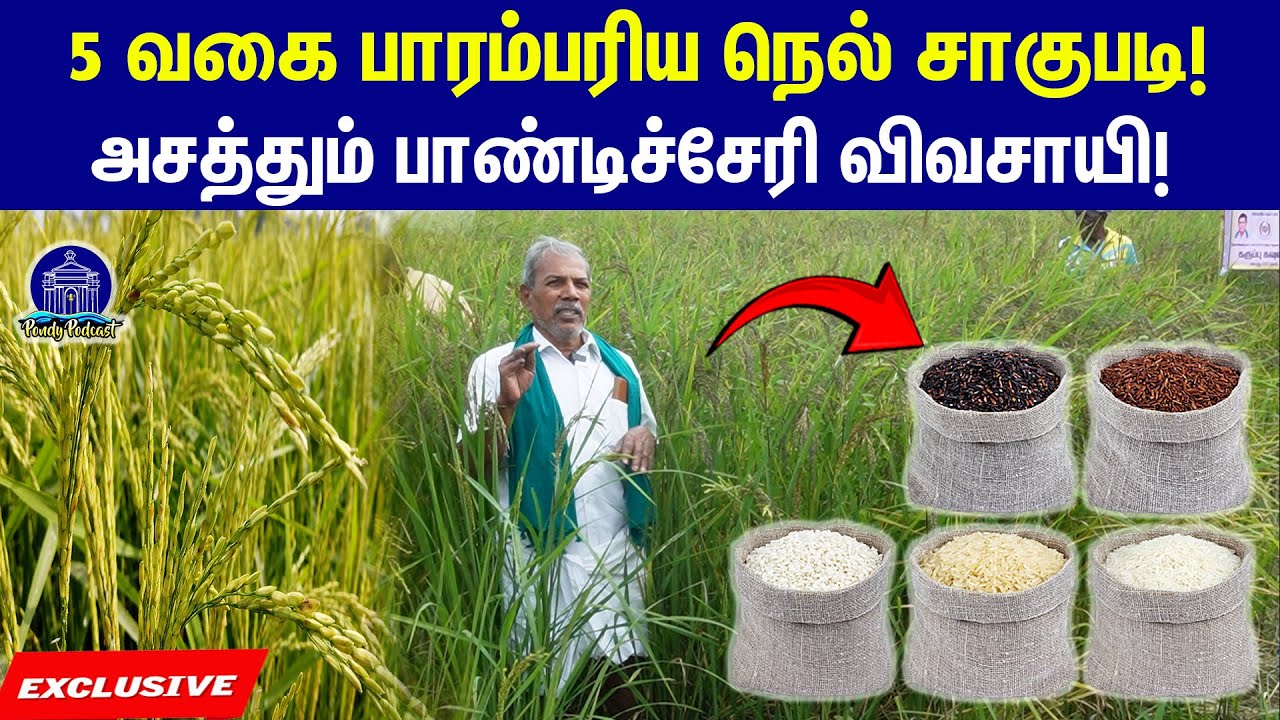 பாண்டிச்சேரியில் இப்படி ஒரு விவசாயி! #organicfarm#agriculture