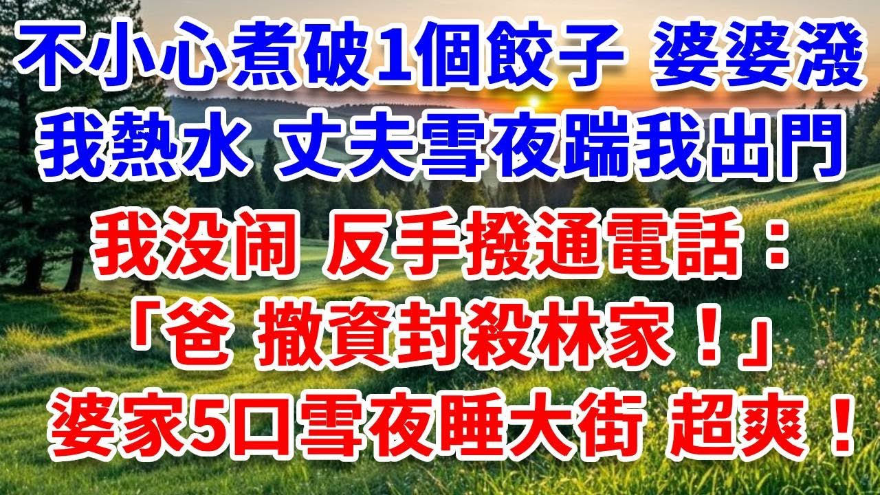 除夕不小心煮破1個餃子，婆婆潑我熱水，丈夫雪夜踹我出門， 我没闹反手撥通電話:「爸 撤資封殺林家！婆家5口雪夜睡大街超爽！#詩涵講故事#為人處世#生活經驗#情感故事#晚年哲理#說故事#完結文#原創故事