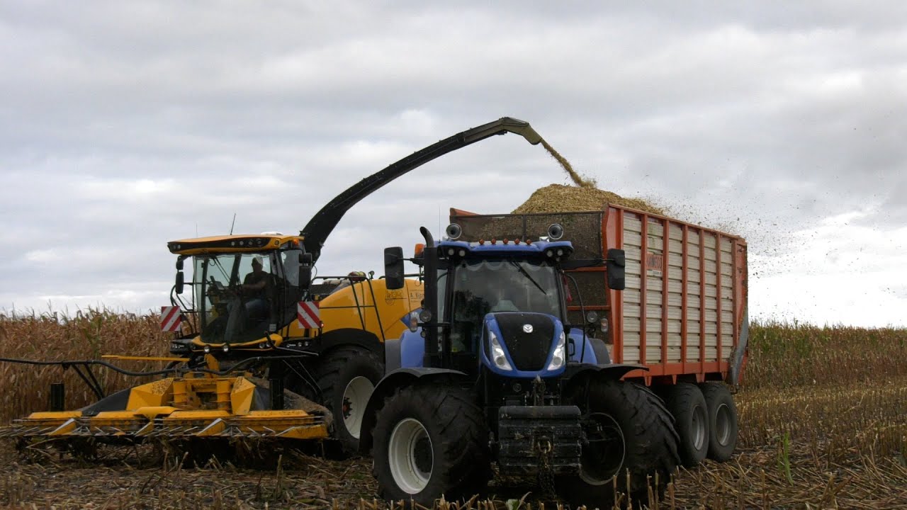 Loonbedrijf A. Rijpma mais aan het hakselen in Harich met de New Holland FR650 Forage Cruiser
