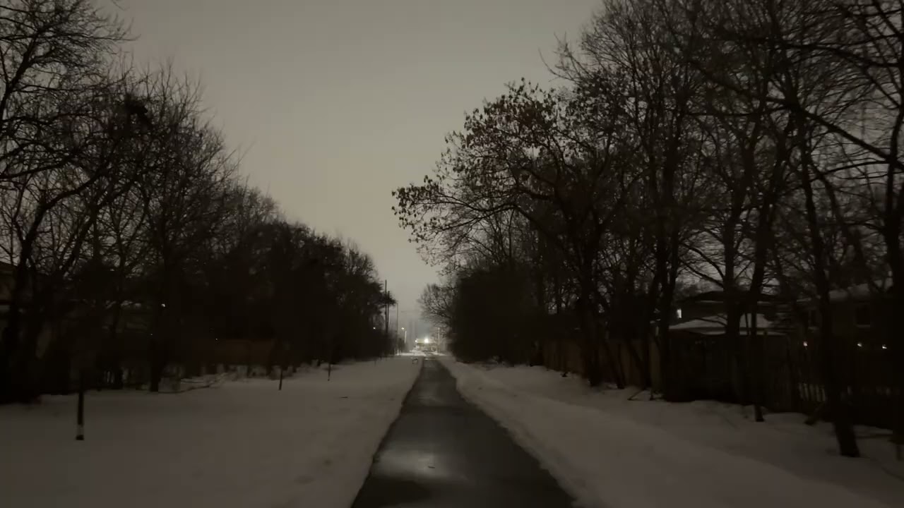 A Quiet Walk Through the Winter Stillness • 5 Minutes