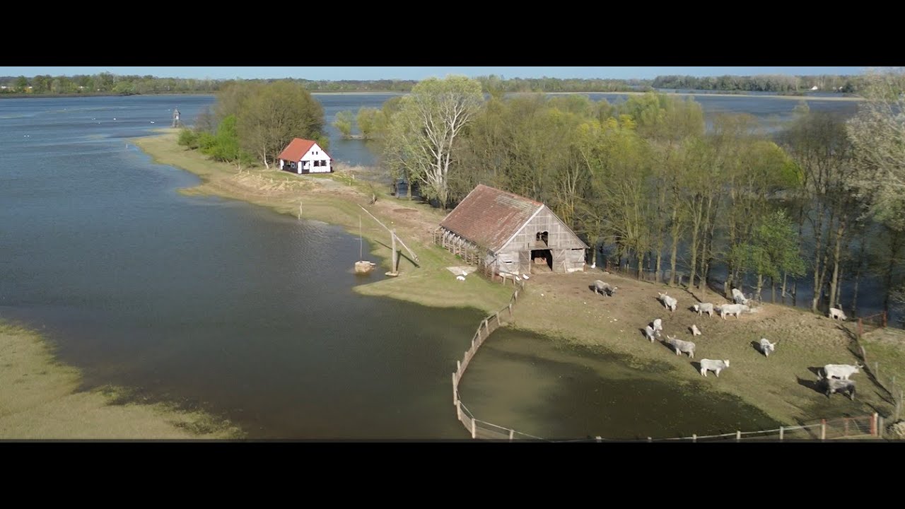 Gajna - kolektivni napori u ublažavanju klimatskih promjena. Brigom o zemlji do pohrane ugljika