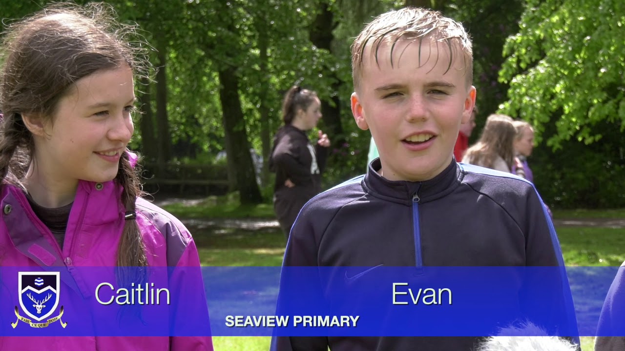 Primary 7 Induction, 2019