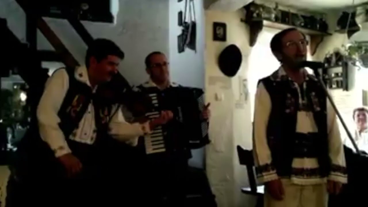 Andrei Barbos  si Tudor Barbos - Eveniment la Casa Olarului Daniel Les (2016)