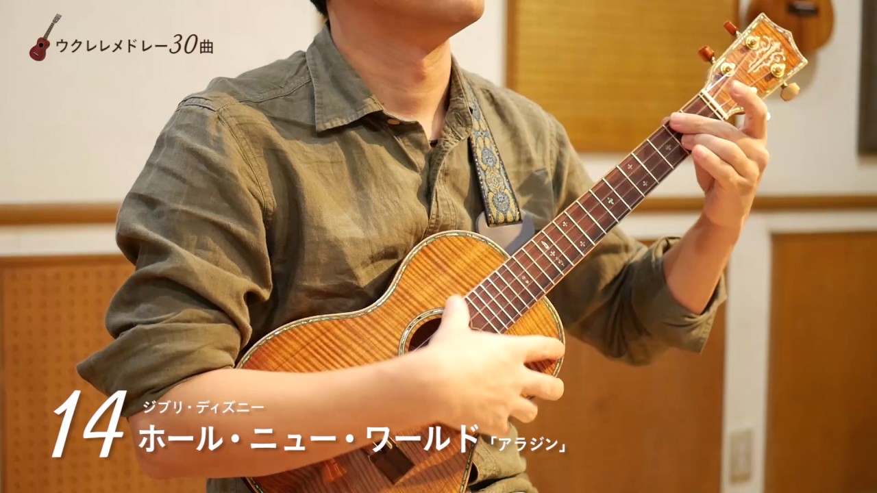 【初心者〜１年で弾ける】ウクレレソロメドレー［３０曲］