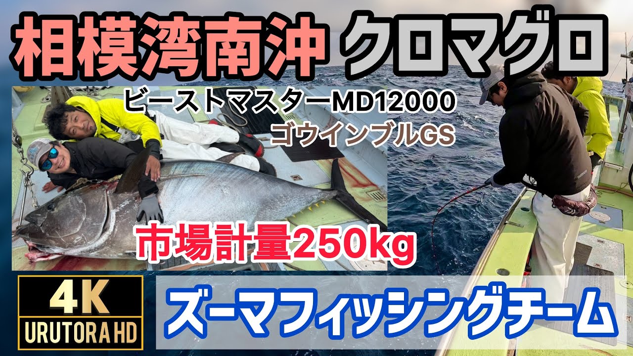 【相模湾クロマグロ】 サバ泳がせ釣り #129