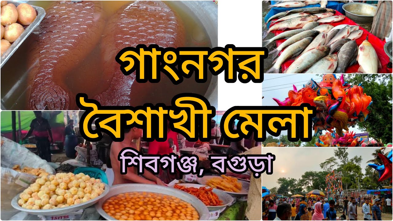 ঐতিহ্যবাহী গাংনগর বৈশাখী মেলা-২০২২ | গাংনগর,শিবগঞ্জ,বগুড়া | গ্রামীণ মেলা | MAHINUR OFFICIAL |