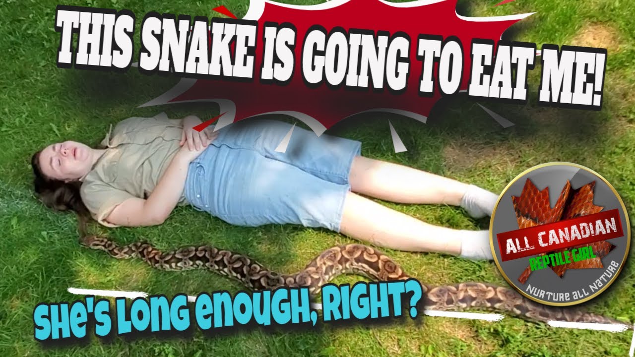 8 Biggest Snake Myths Debunked!!
