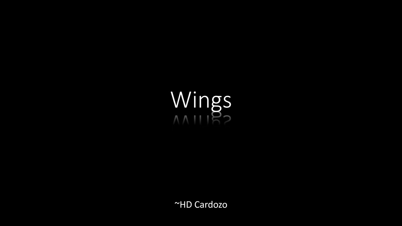 Wings ~ HD Cardozo (Original by Birdy)