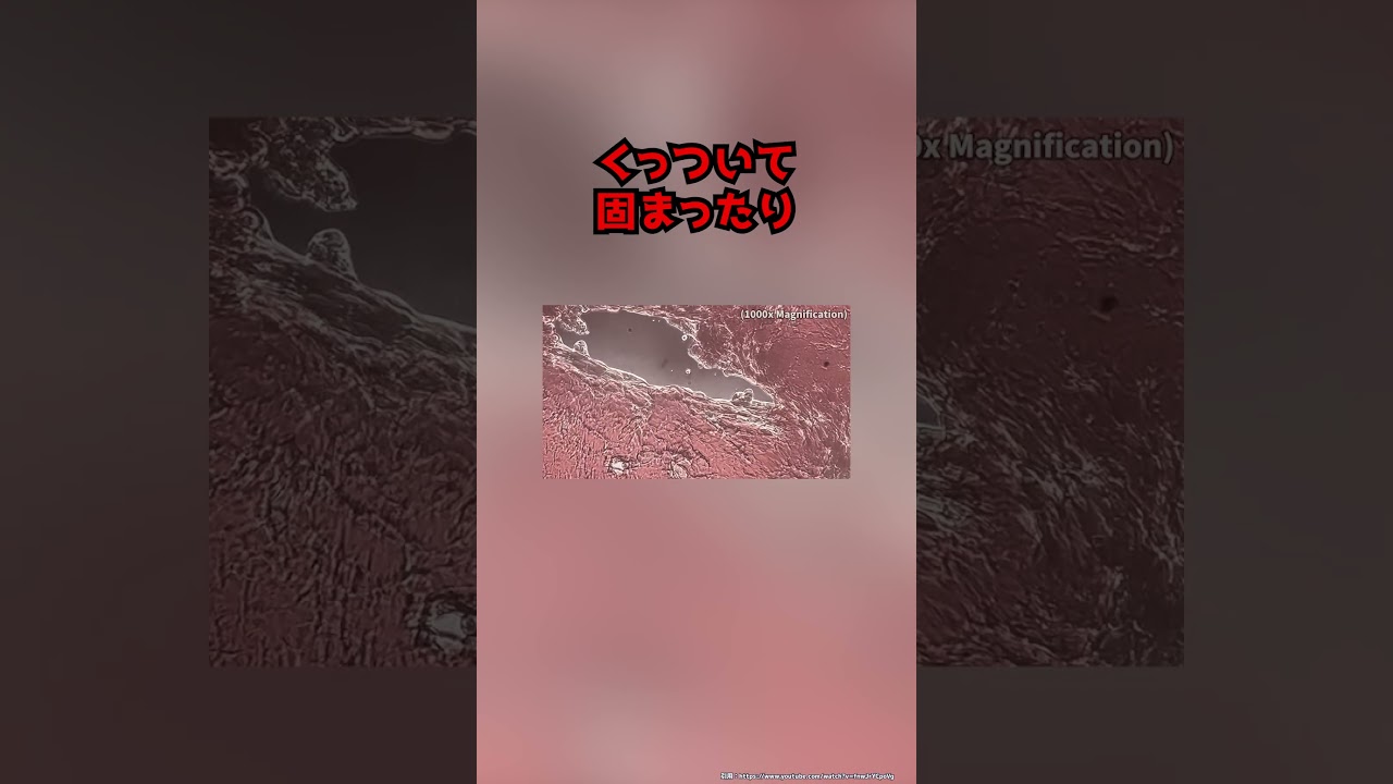 異なる血液型の血を混ぜると体内でどうなりますか？