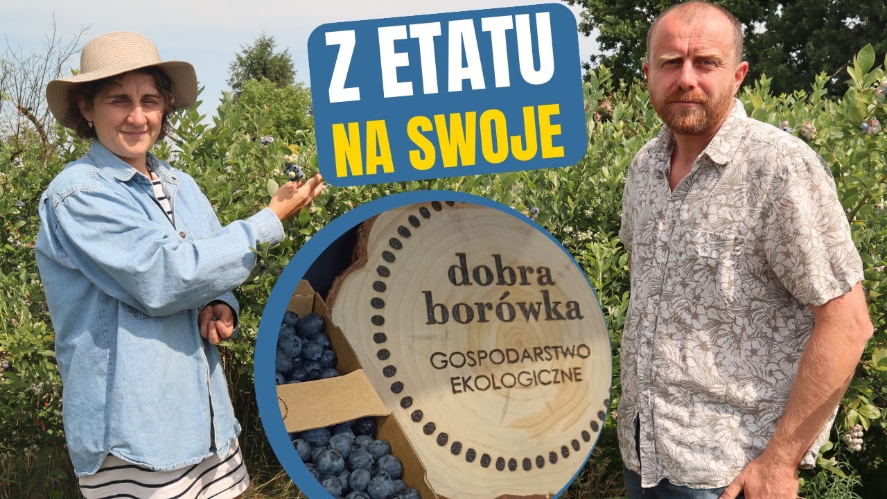 💙 Borówkowy biznes z PASJĄ – droga do niezależności finansowej