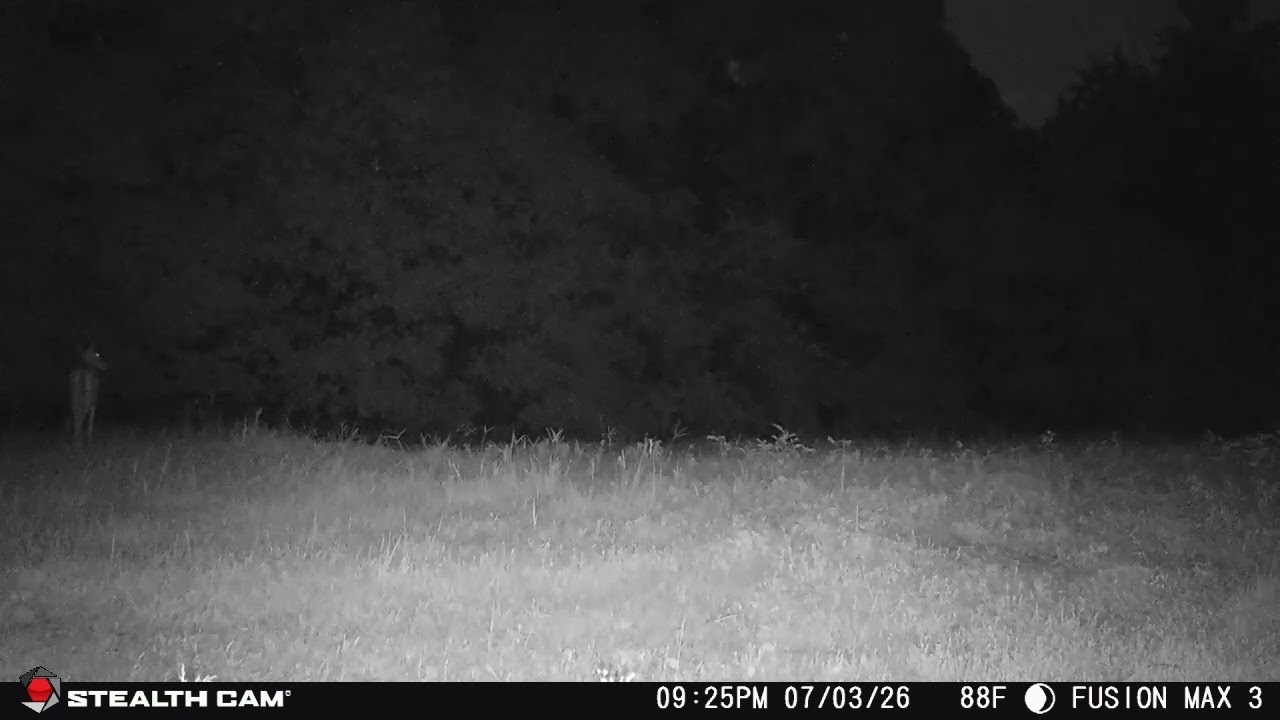 Stealth Cam Fusion Max 3.0