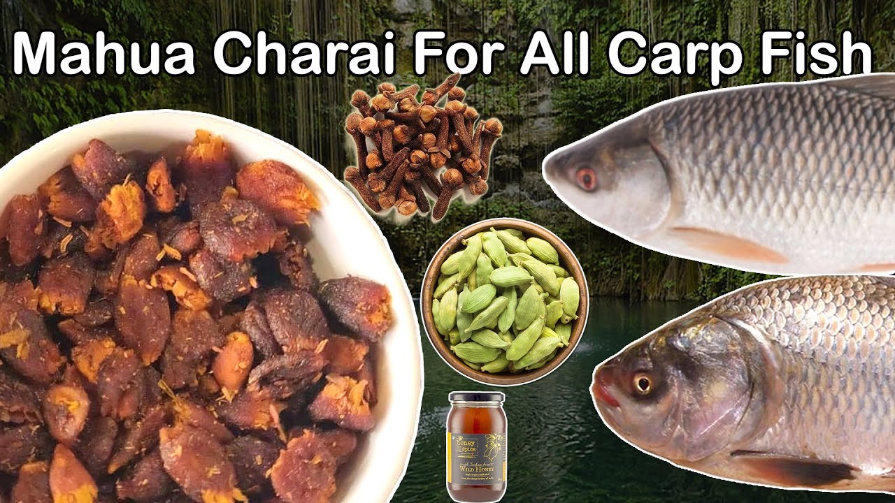 Mahua Charai Receipe aur Ishe Kayse Use Karna Hain