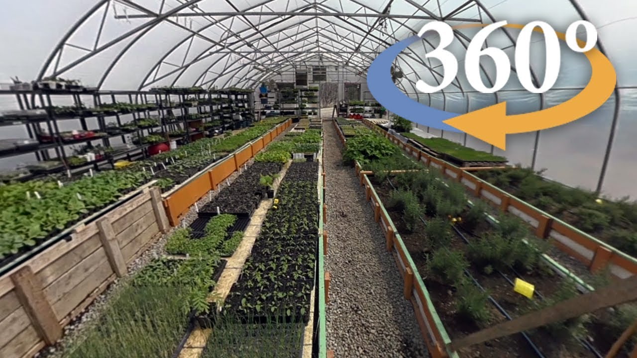 A fresh look at Fresh City Farms (360 Video)