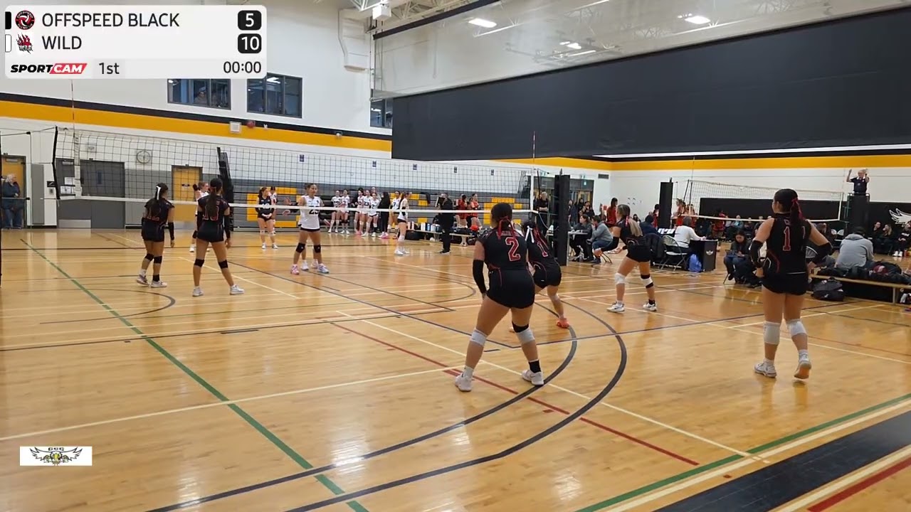 Offspeed Black (15) vs Wild (25) Set 1