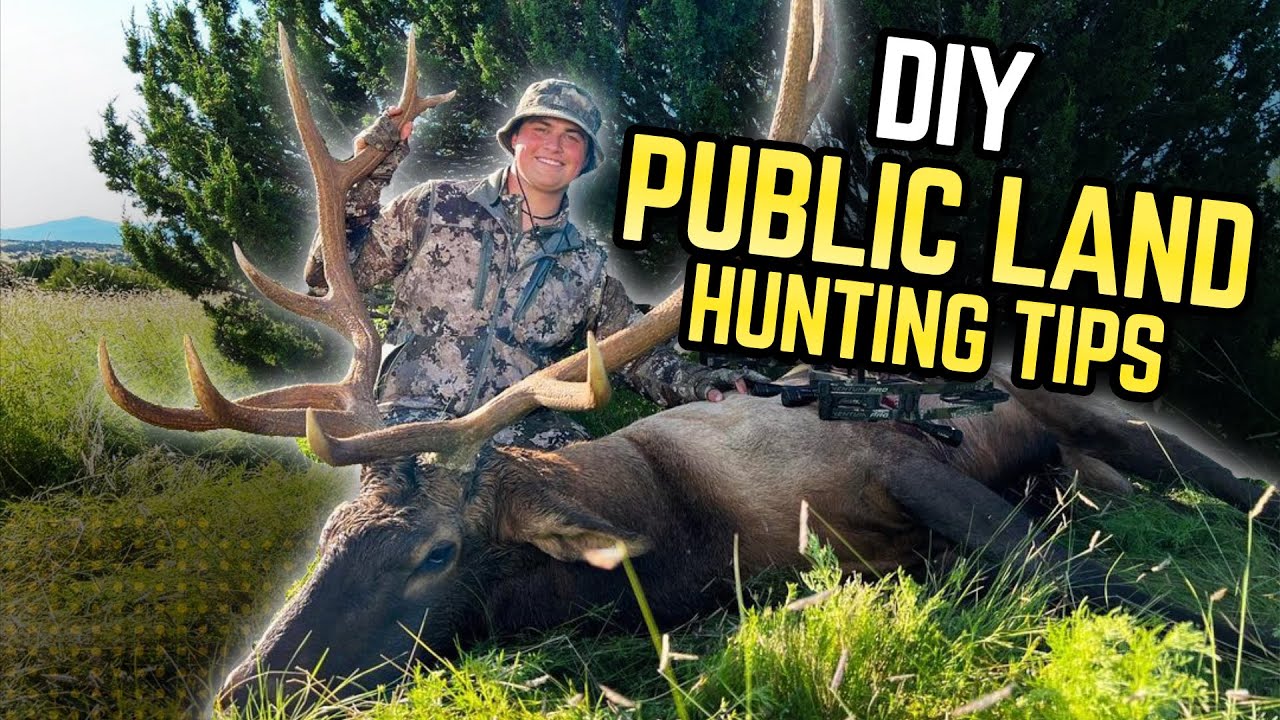 DIY Public Land Hunting Tips