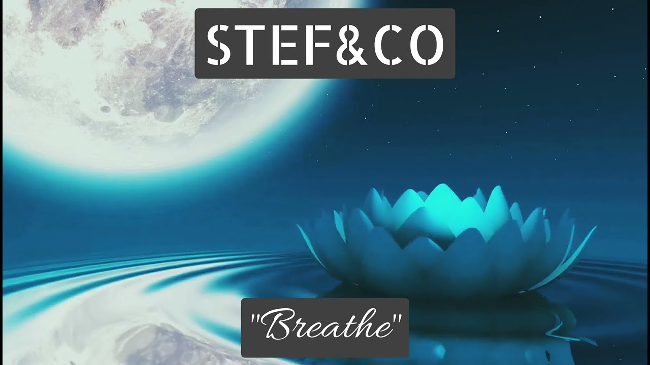 STEF&CO 